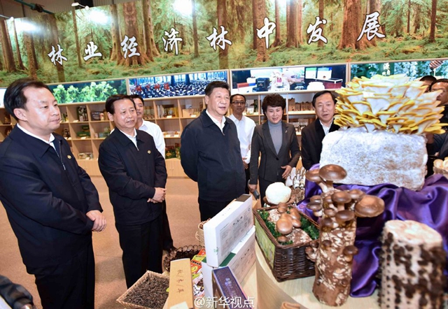 北貨郎森林食品是如何走進習(xí)大大視線的