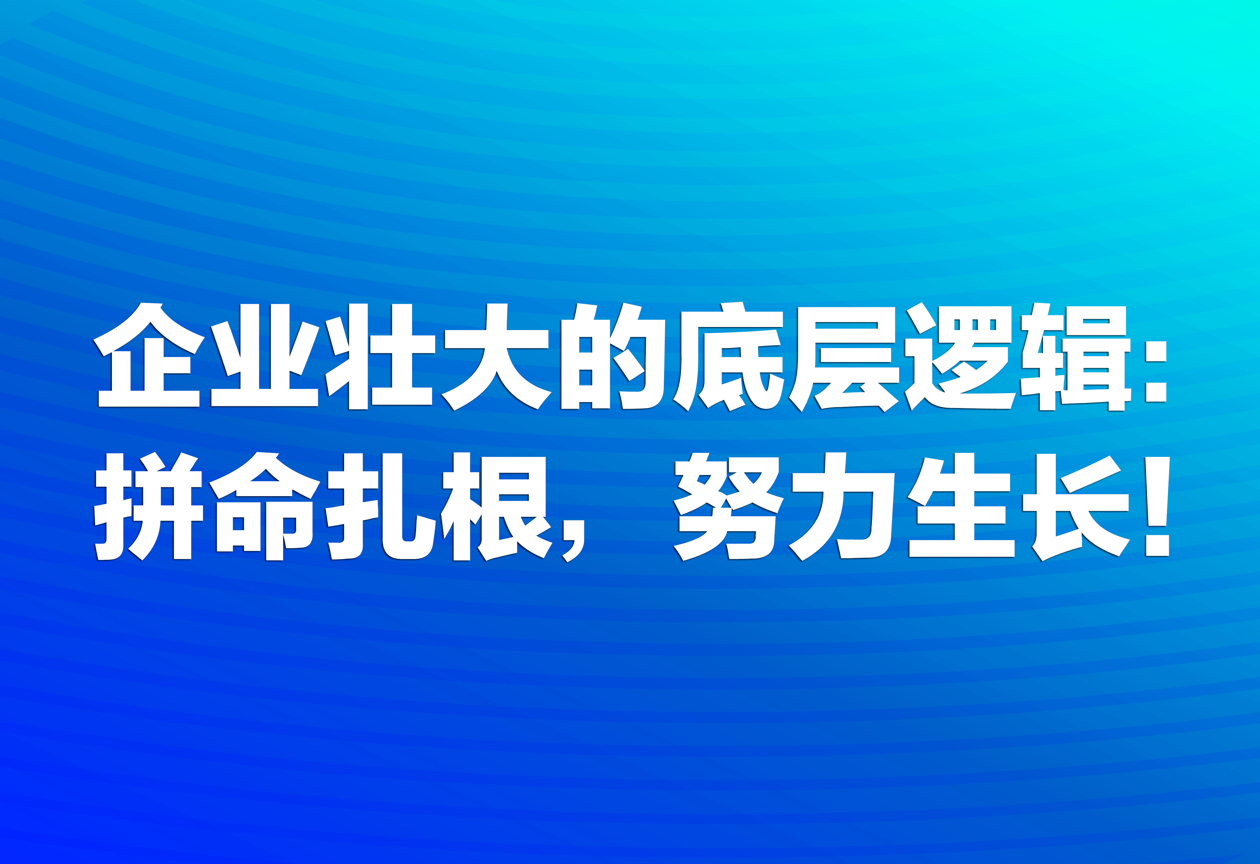 企業(yè)壯大的底層邏輯：拼命扎根，努力生長！