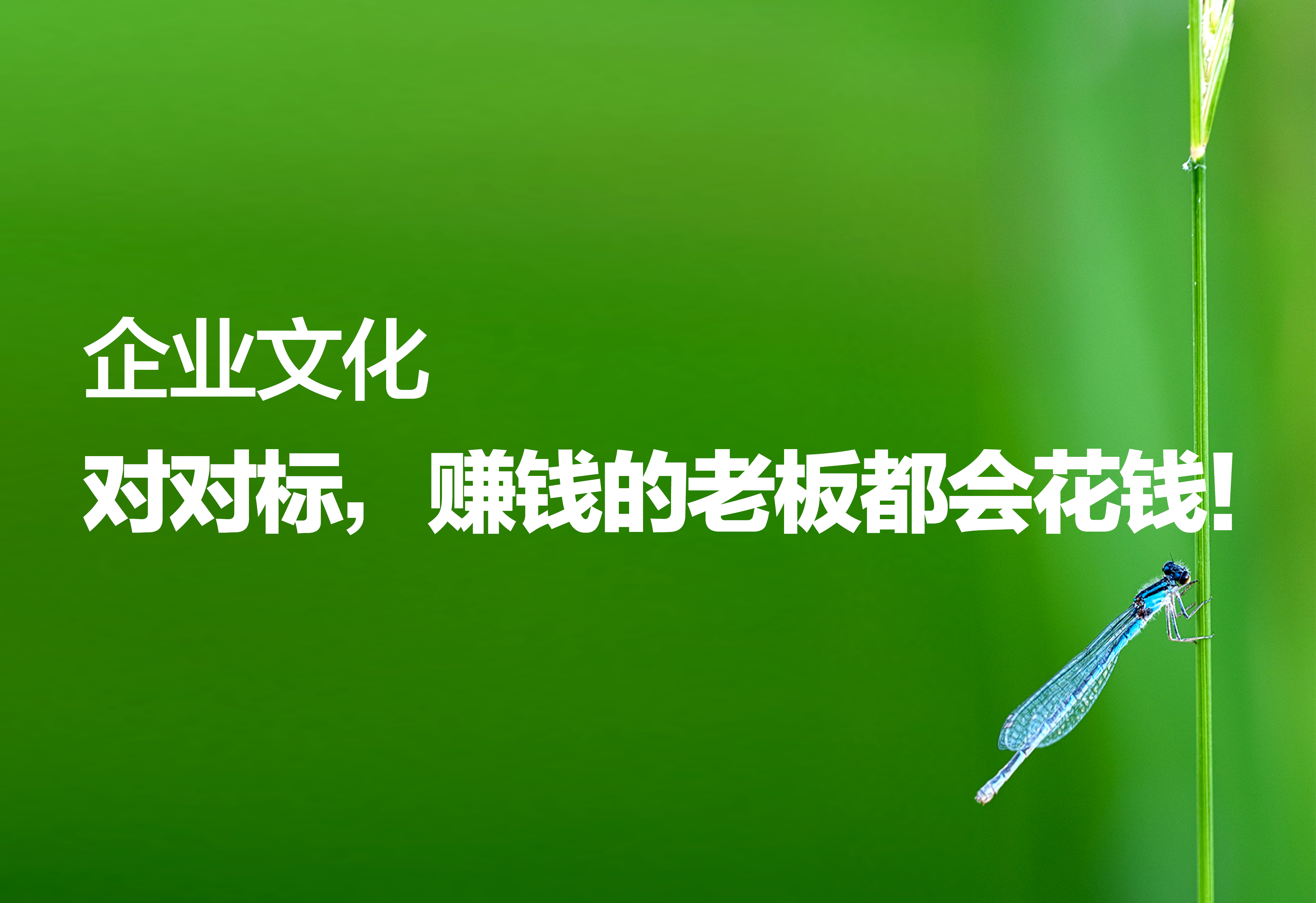 企業(yè)文化：對(duì)對(duì)標(biāo)，賺錢的老板都會(huì)花錢！