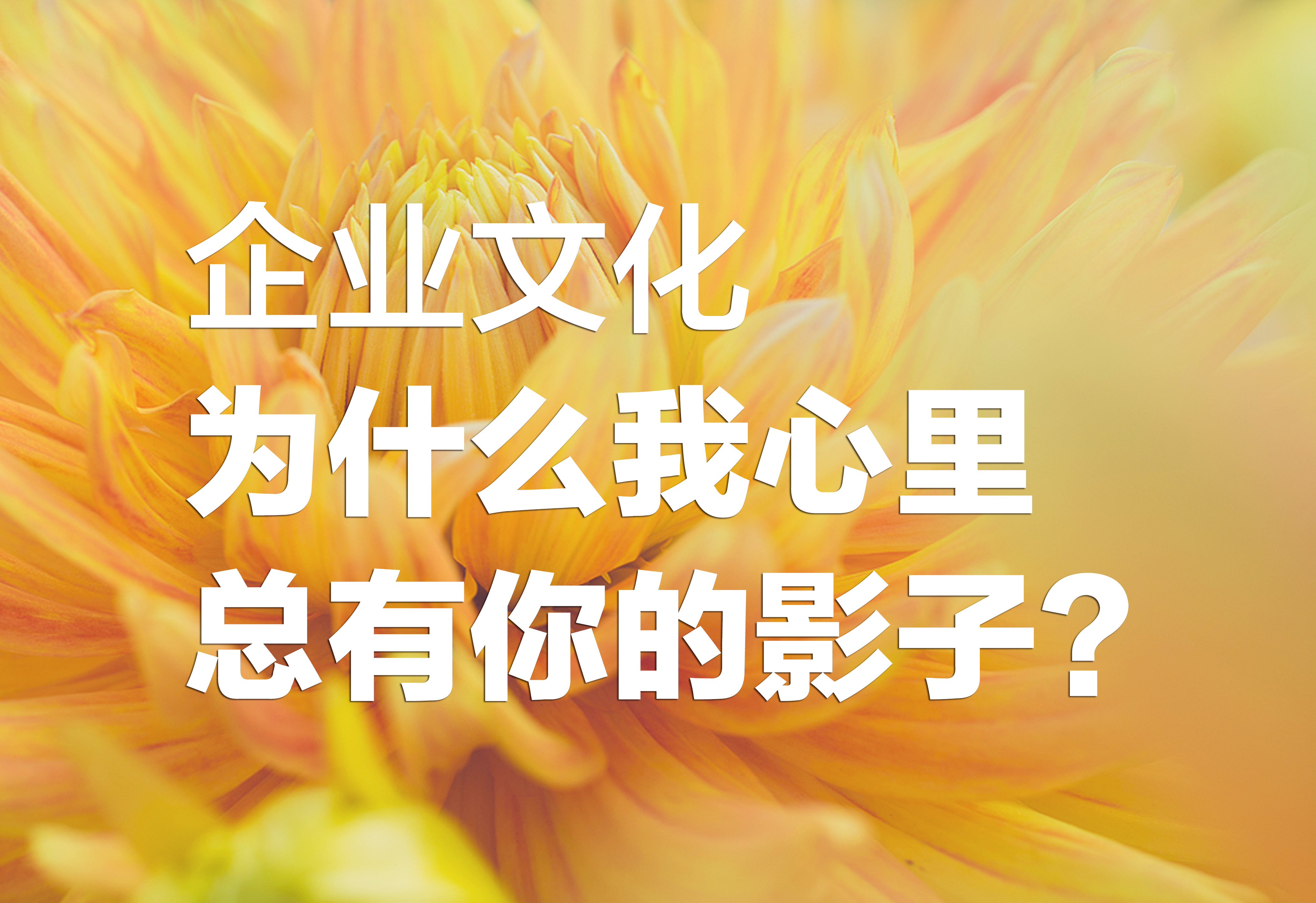 企業(yè)文化：為什么我心里總有你的影子？