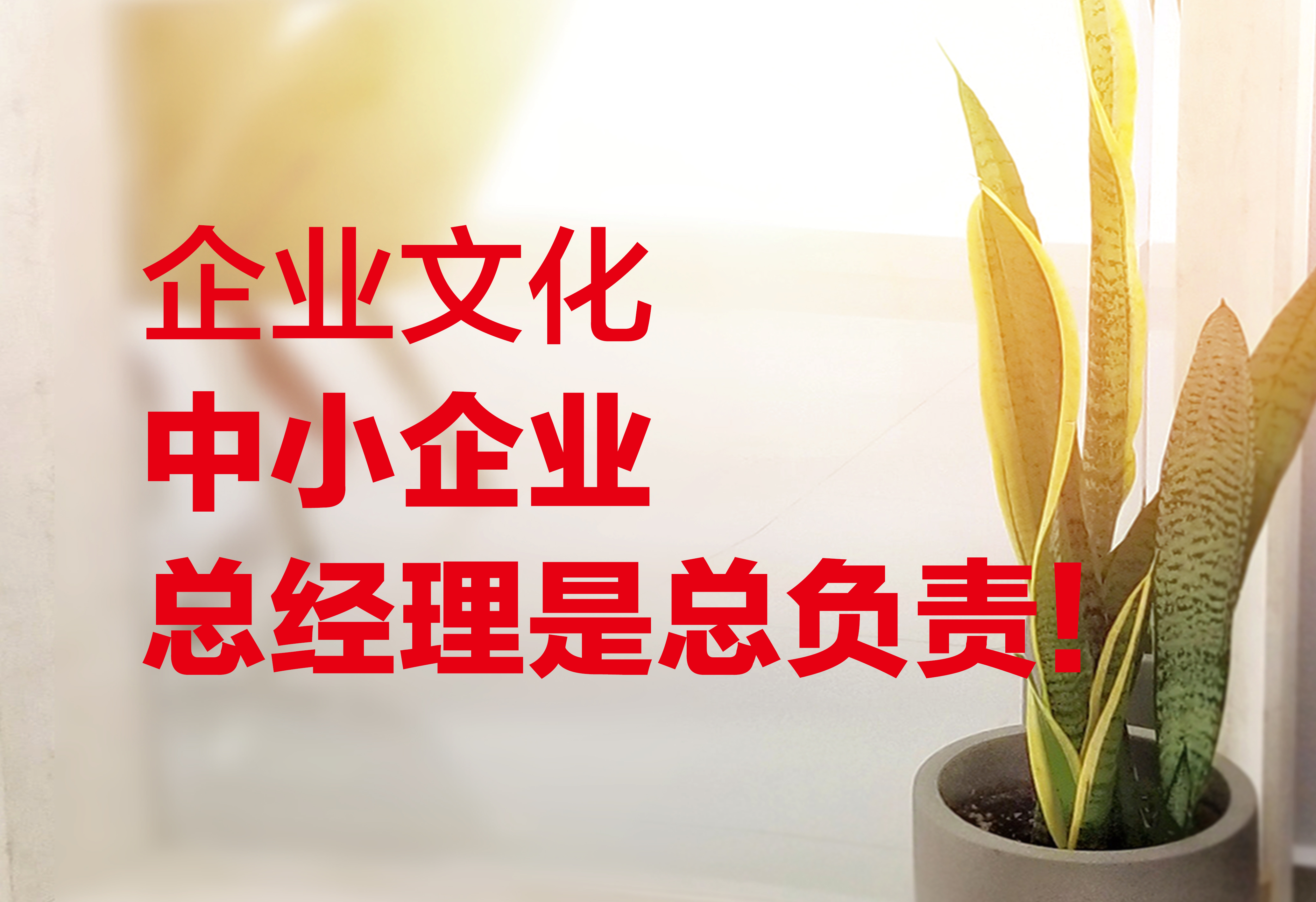 企業(yè)文化：中小企業(yè)總經(jīng)理是總負(fù)責(zé)！